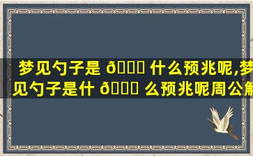 梦见勺子是 🍀 什么预兆呢,梦见勺子是什 🐒 么预兆呢周公解梦